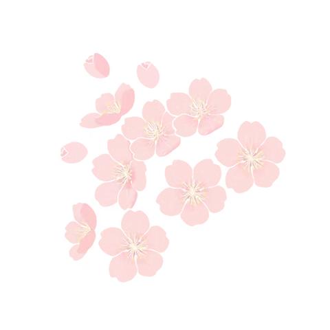 “三争”行动·见实效 | 喜报！2023年育婴师技能等级（中级）考证第一期取得优异成绩