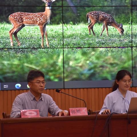 “研”途花开 众行致远﻿———济宁市义务教育阶段“聚焦团体辅导 护航心灵成长”心理健康教育教学研讨活动