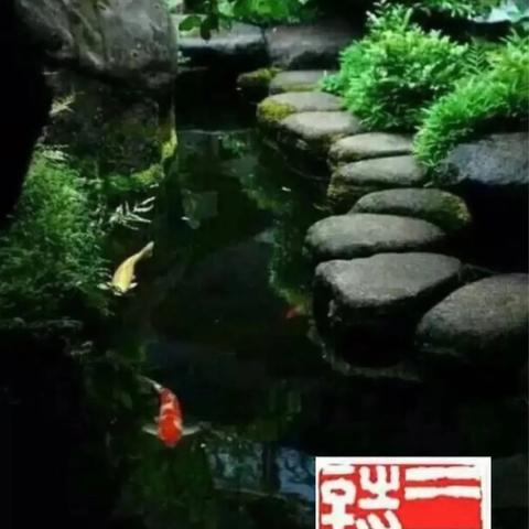 如何写好参赛诗词 //程良宝浅谈诗词创作体会