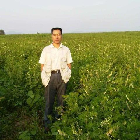 何 鹤：浅议“新诗思维”对旧体诗词创作的影