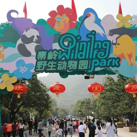【西旅集团】盛世繁华喜迎国庆佳节，金秋十月畅玩动物乐园！