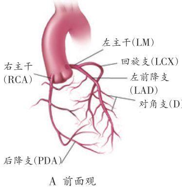 【微动态】胸痛中心7×24，与死神赛跑的奋斗者！