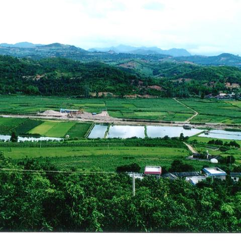 勐底农场成都知青纪念馆（按时间排序）