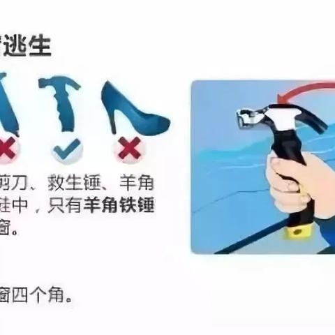 车辆落水后如何自救? ​