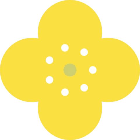 精典幼儿园的美篇