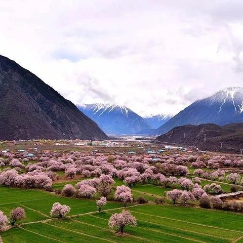 世界顶级线路在西藏川西，西藏的春天在林芝，川西的美丽在藏寨。