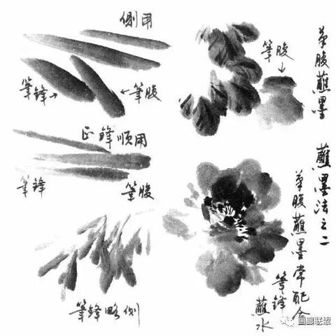 写意花鸟画笔墨技法详解