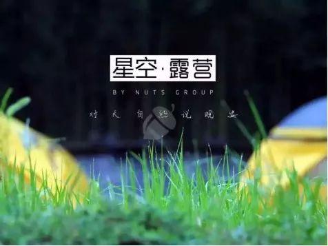 【星空露营】童趣·森林王国 2019 【对大自然说晚安】摸鱼攀树 篝火露营 探索自然