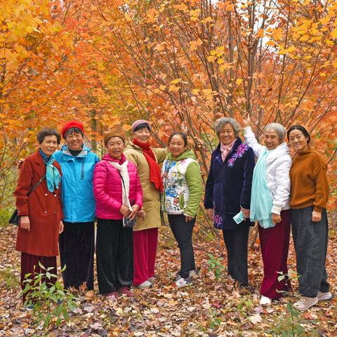 如诗般的冬月，你好！（副本）