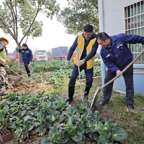 弘扬生态文明 共建绿色站区——金温铁道公司丽水经营部开展植树节活动