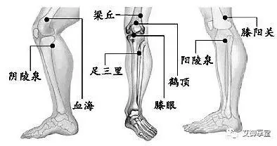 阳陵泉与阴陵泉：临床上究竟怎么用？