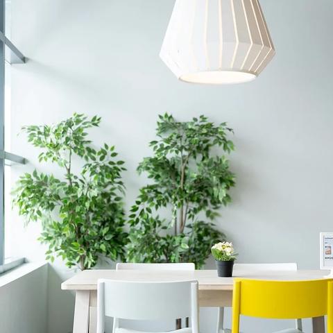 【膳食保健】食品安全五要点——白桦林居幼儿园饮食指南