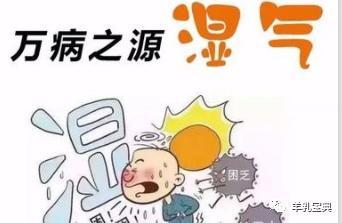 三伏天一定要多喝点羊奶