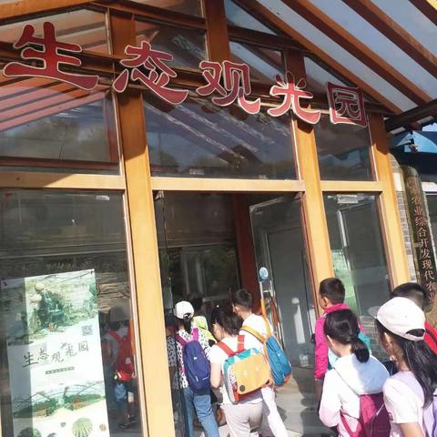 天津师大二附小2018级6班参加秋季实践——采摘劳动教育活动