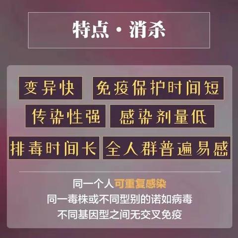 【卫生保健】健康科普——诺如病毒进入高发期，应如何预防？