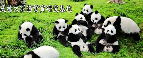澧州俗语“少不入川”探究