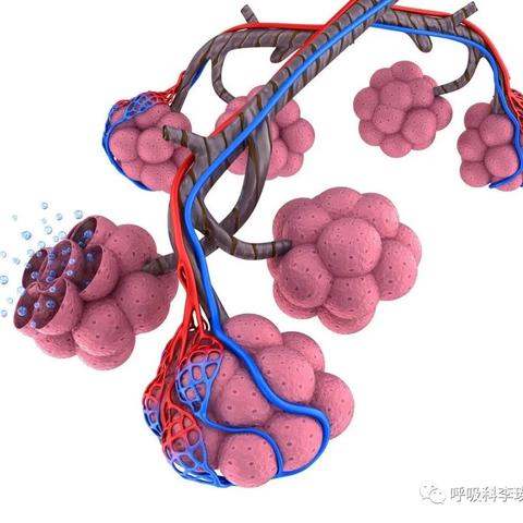 体检发现肺气肿和肺大泡，严重吗？是得了慢阻肺吗？能不能根治？