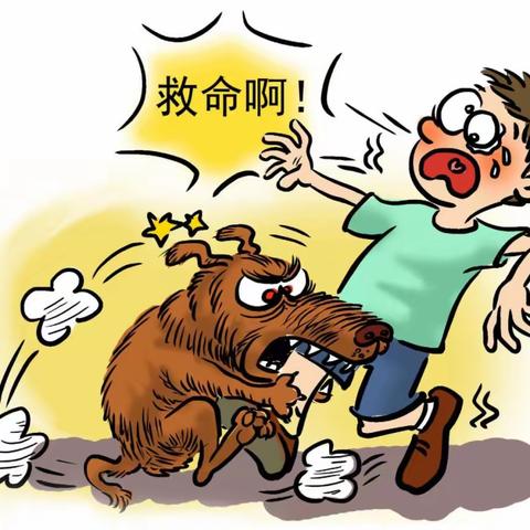 六岁男童被狗咬伤谁之责。【格林普法小课堂第59期】