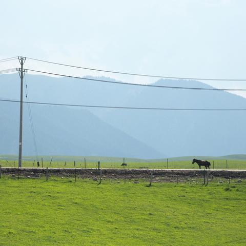 夏日的伊犁，是上帝写给人间的诗