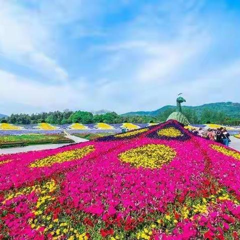 花谷奇缘--一个秋色最撩人的地方