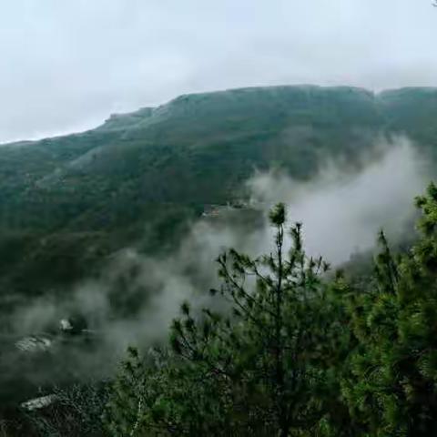 我有一山景，愿醉有缘人