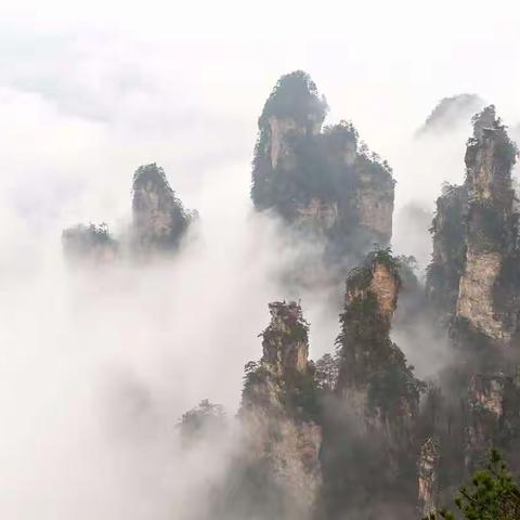 雨天才是张家界美景的正确打开方式