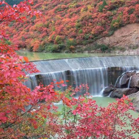 凤县赏红叶，秋染灵官峡