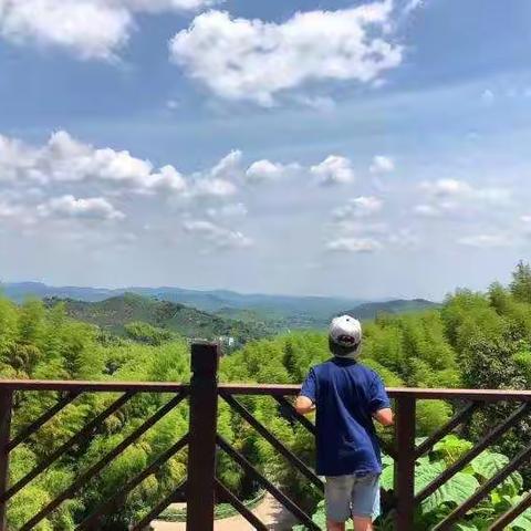 隐居大山，田野农事，探索莫干山，挑战自我，独立生活