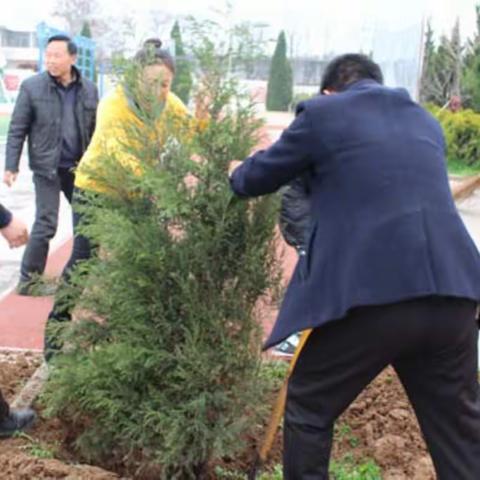 “绿色春天 植树校园” ——杨村中心小学植树活动报道