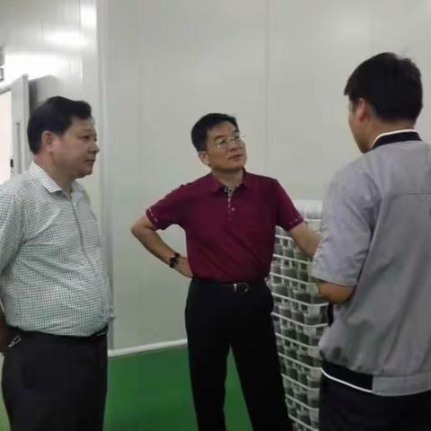 【五比五晒】省科技厅领导来我县调研