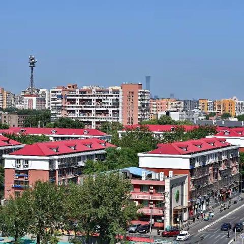 阳台随拍小景2019-5-22