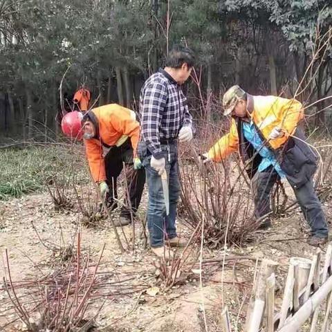 二七绿化中心周报