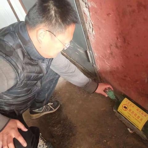 创建国家卫生城市  春季捕鼠在行动