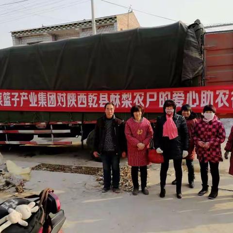 菜篮子产业集团爱心助农，帮助陕西乾县农户解决酥梨滞销问题