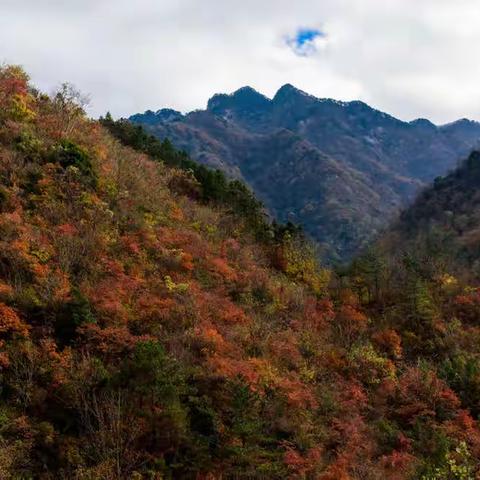 马鬃岭秋色