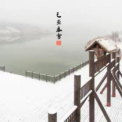 己亥春雪