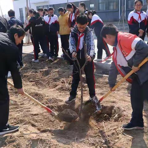 种一棵小树，绿一方净土