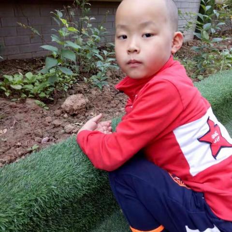 大人才国际幼儿园2017年6月李子骞小朋友影片留念