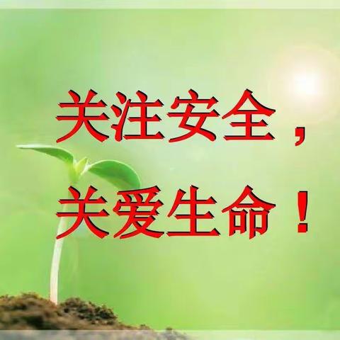 “我安全 我健康 我快乐”文化路小学东校启航中队11月主题活动