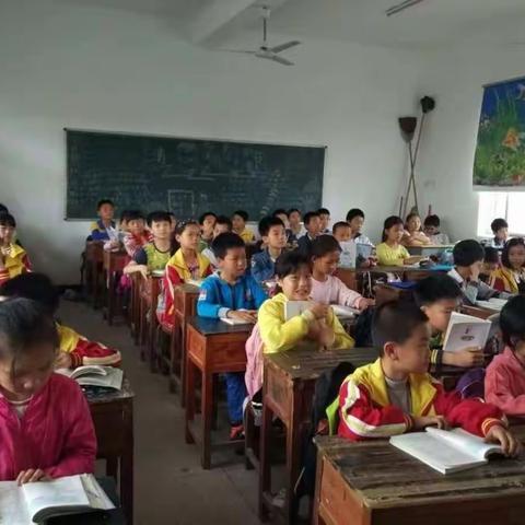 我读故我在——长征源小学五5班读书故事