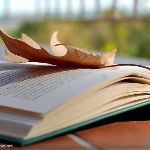 书中访友 驰骋天地间——长征源小学六4班开篇记