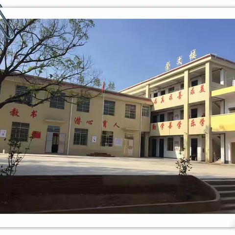 享均衡教育成果 年丰小学展新颜