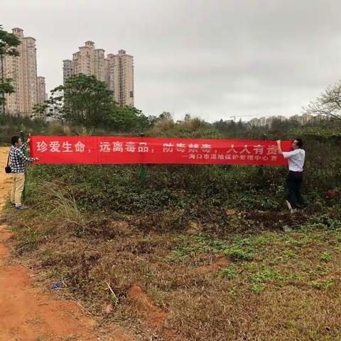 海口市湿地保护管理中心到海南海口五源河国家湿地公园进行禁毒宣传