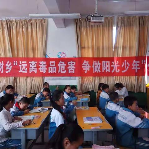 梧桐树乡干部到杨洪桥小学上“远离毒品危害 争做阳光少年”公开课