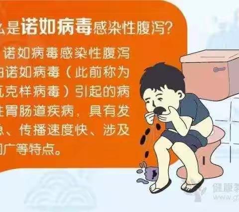 【省一幼温馨提示】——诺如病毒早知道！请家长提前做好预防！