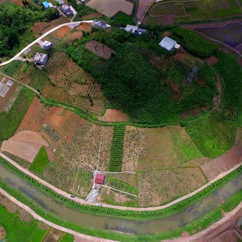 邱中明和他的鹏程月季园 —湖北利川市柏杨镇