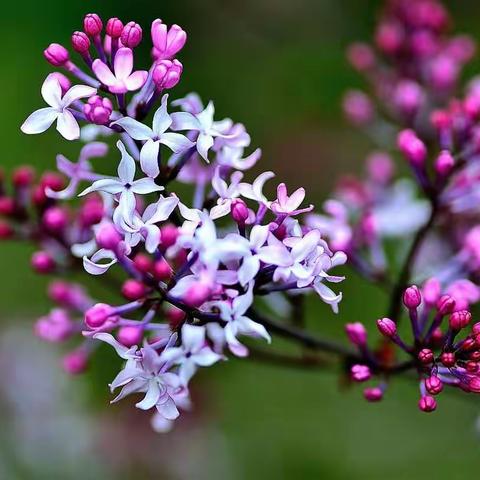 江上悠悠人不问，十年云外醉中身。