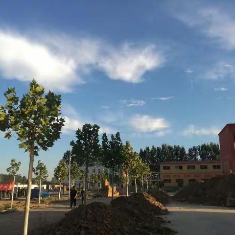 浸湿的迷彩