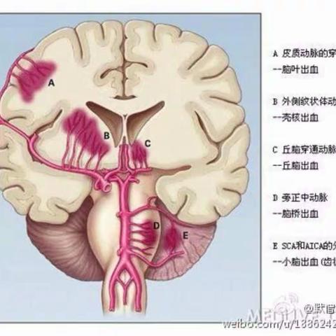 “千县万医”全国心脑血管疾病防治技术巡回公益培训会通知