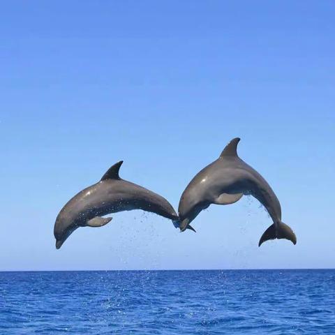 扬帆启航——记实验中学新学期第一次教师培训会